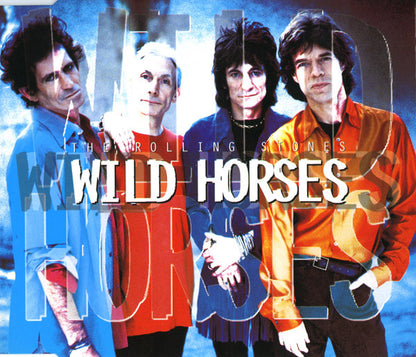 Rolling Stones – Wild Horses (CD Single) Compact Disc Goede Staat