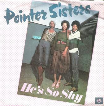 Pointer Sisters - He's So Shy 34324 Vinyl Singles Goede Staat