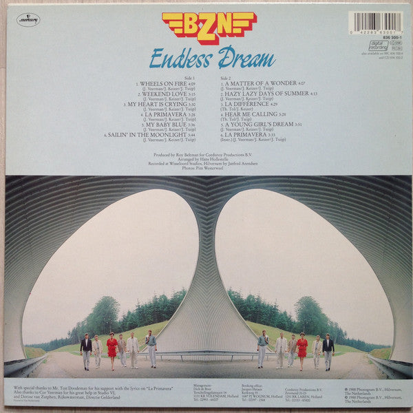 BZN - Endless Dream (LP) 46555 Vinyl LP Goede Staat