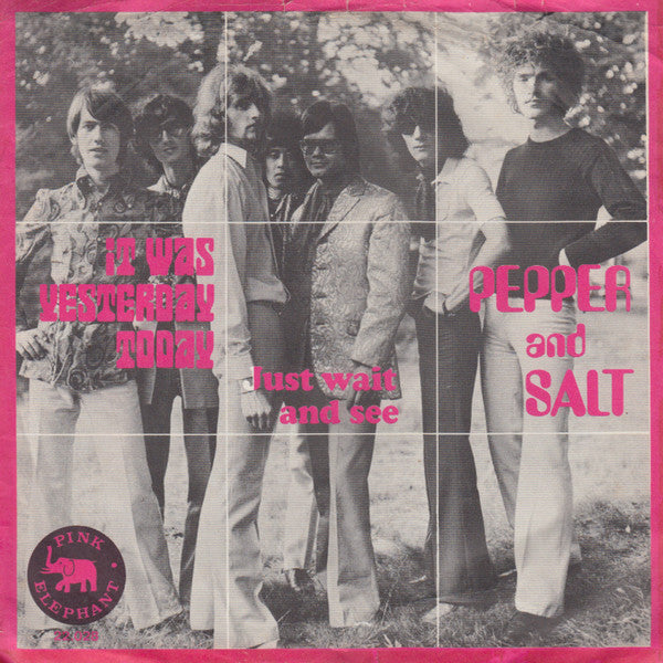 Pepper & Salt - It Was Yesterday Today 18561 Vinyl Singles Goede Staat