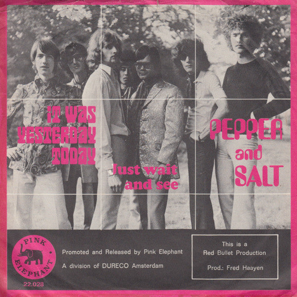 Pepper & Salt - It Was Yesterday Today 18561 Vinyl Singles Goede Staat