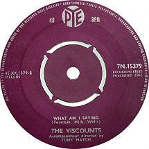 Viscounts - Who Put Bomp (In Bomp, Bomp, Bomp) 19291 Vinyl Singles Goede Staat