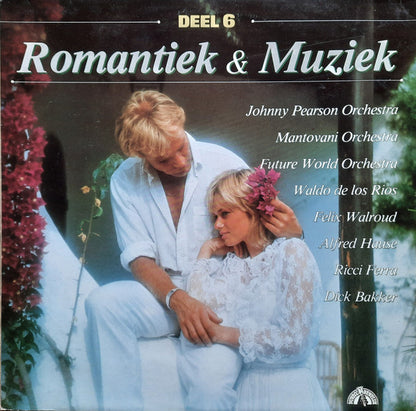 Various - Romantiek & Muziek 6 (LP) 50227 Vinyl LP Dubbel Goede Staat