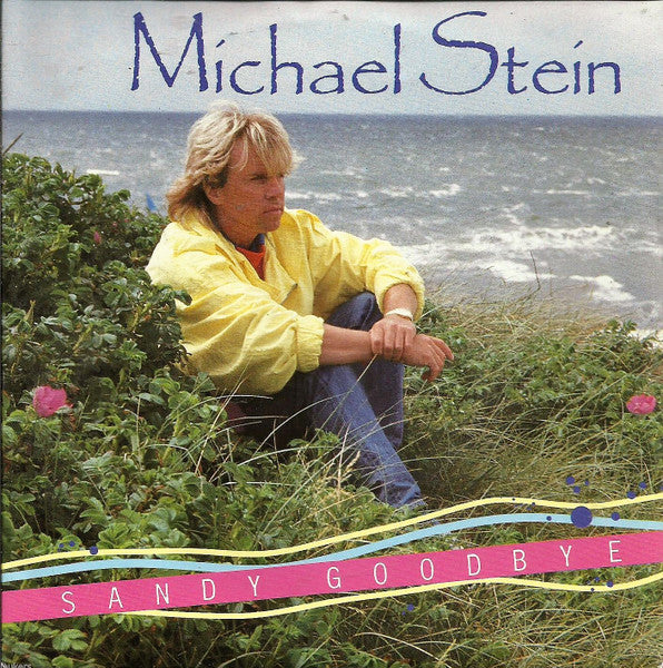 Michael Stein - Sandy Goodbye 36088 Vinyl Singles Goede Staat ++