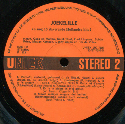 Various - Joekelille En Nog 15 Daverende Hollandse Hits (LP) 51397 Vinyl LP Goede Staat