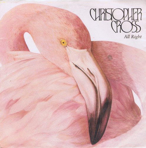 Christopher Cross - All Right Vinyl Singles Goede Staat