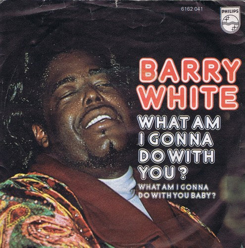 Barry White - What Am I Gonna Do With You 16956 Vinyl Singles Goede Staat