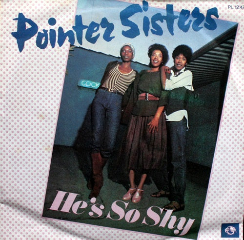 Pointer Sisters - He's So Shy 35328 Vinyl Singles Goede Staat