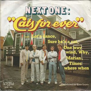 Next One - Cats For Ever 30644 Vinyl Singles Goede Staat