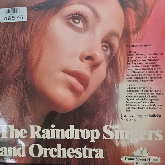 Raindrop Singers And Orchestra - Zij Zingen En Spelen (LP) 49576 Vinyl LP Goede Staat