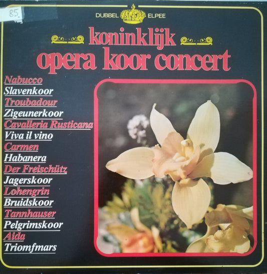 Various - Koninklijk Opera Koor Concert (LP) 44274 Vinyl LP Goede Staat