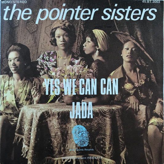 Pointer Sisters - Yes We Can Can 31338 Vinyl Singles Goede Staat