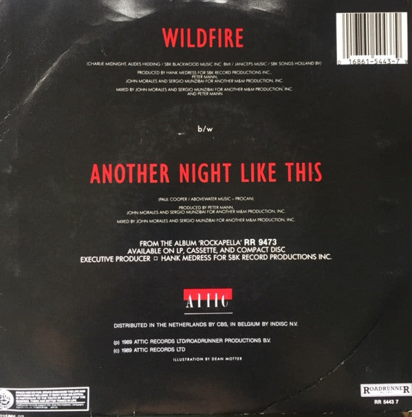 Nylons - Wildfire 21946 Vinyl Singles Goede Staat