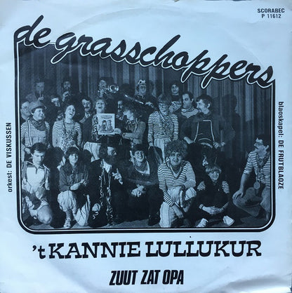 Grasschoppers - 'T Kannie Lullukur 30766 Vinyl Singles Goede Staat