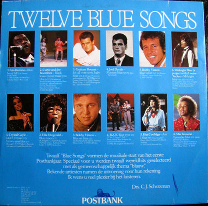 Various - Twelve Blue Songs (LP) 49459 Vinyl LP Goede Staat