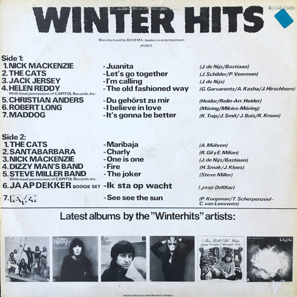 Various - Winter Hits (LP) 48862 Vinyl LP Goede Staat