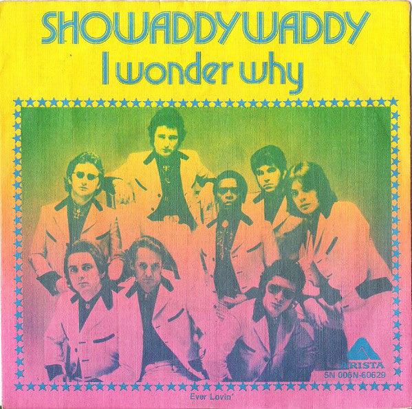 Showaddywaddy - I Wonder Why 29249 Vinyl Singles Goede Staat