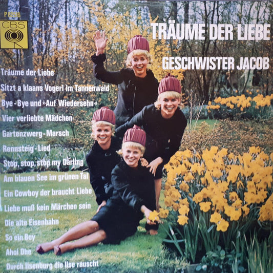 Geschwister Jacob - Träume Der Liebe (LP) 48916 Vinyl LP Goede Staat