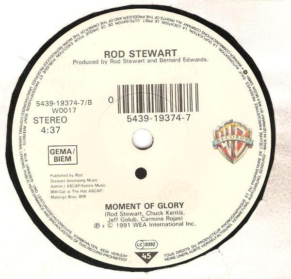 Rod Stewart - Rhythm Of My Heart 25759 Vinyl Singles Goede Staat