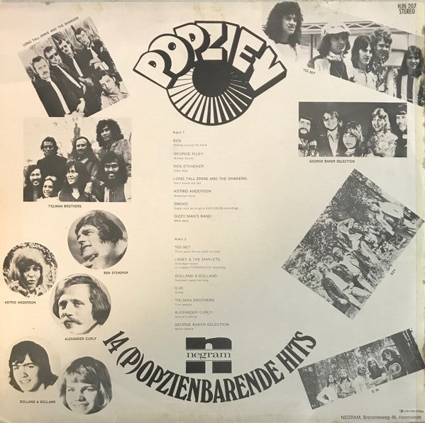 Various - Popzien - 14 (P)opzienbarende Hits (LP) 48313 Vinyl LP Goede Staat