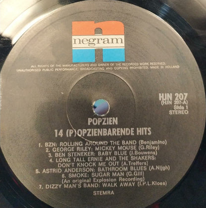 Various - Popzien - 14 (P)opzienbarende Hits (LP) 48313 Vinyl LP Goede Staat