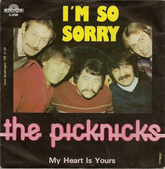 Picknicks - I'm So Sorry 19801 Vinyl Singles Goede Staat