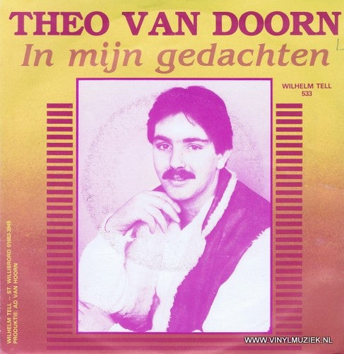 Theo van Doorn - Je Oudershuis 33477 Vinyl Singles Goede Staat