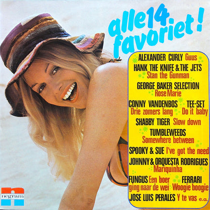 Various - Alle 14 Favoriet (LP) 48455 Vinyl LP Goede Staat