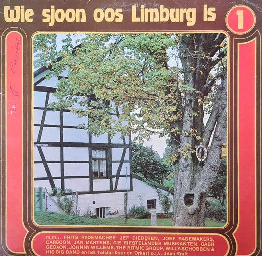 Various - Wie Sjoon Oos Limburg Is 1 (LP) Vinyl LP Goede Staat