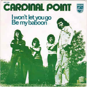 Cardinal Point - I Won't Let You Go 17995 Vinyl Singles Goede Staat