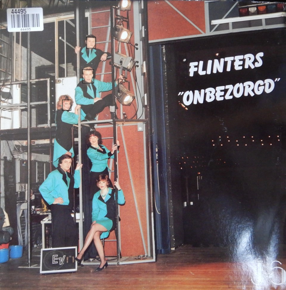 Flinters - Onbezorgd (LP) 44495 Vinyl LP Goede Staat