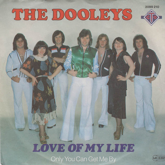 Dooleys - Love Of My Life 19292 Vinyl Singles Goede Staat